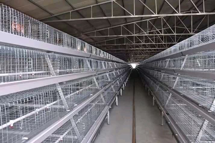 Battery cage wire 