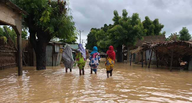 Flood victims in Jigawa 