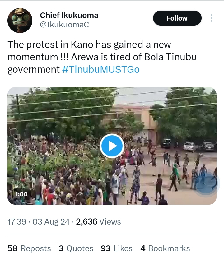 Kano protesters 