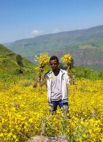 Ethiopian flowers 